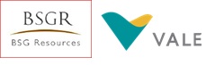 BSGR VALE
